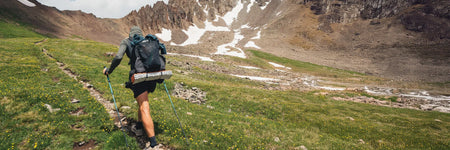 Walking Poles