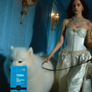 Terra Pet Wipes - 30x | Gearshop NZ