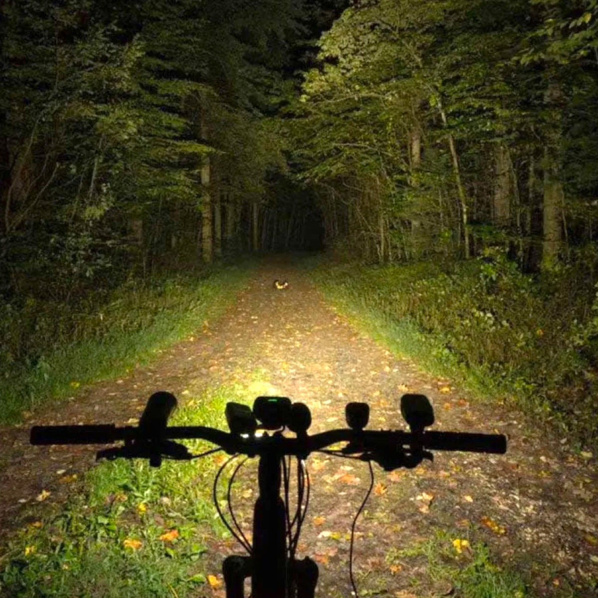 Magic Shine Monteer 5000 Bike Light