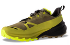 Dynafit Traverse 2 GTX Mens Running Shoes