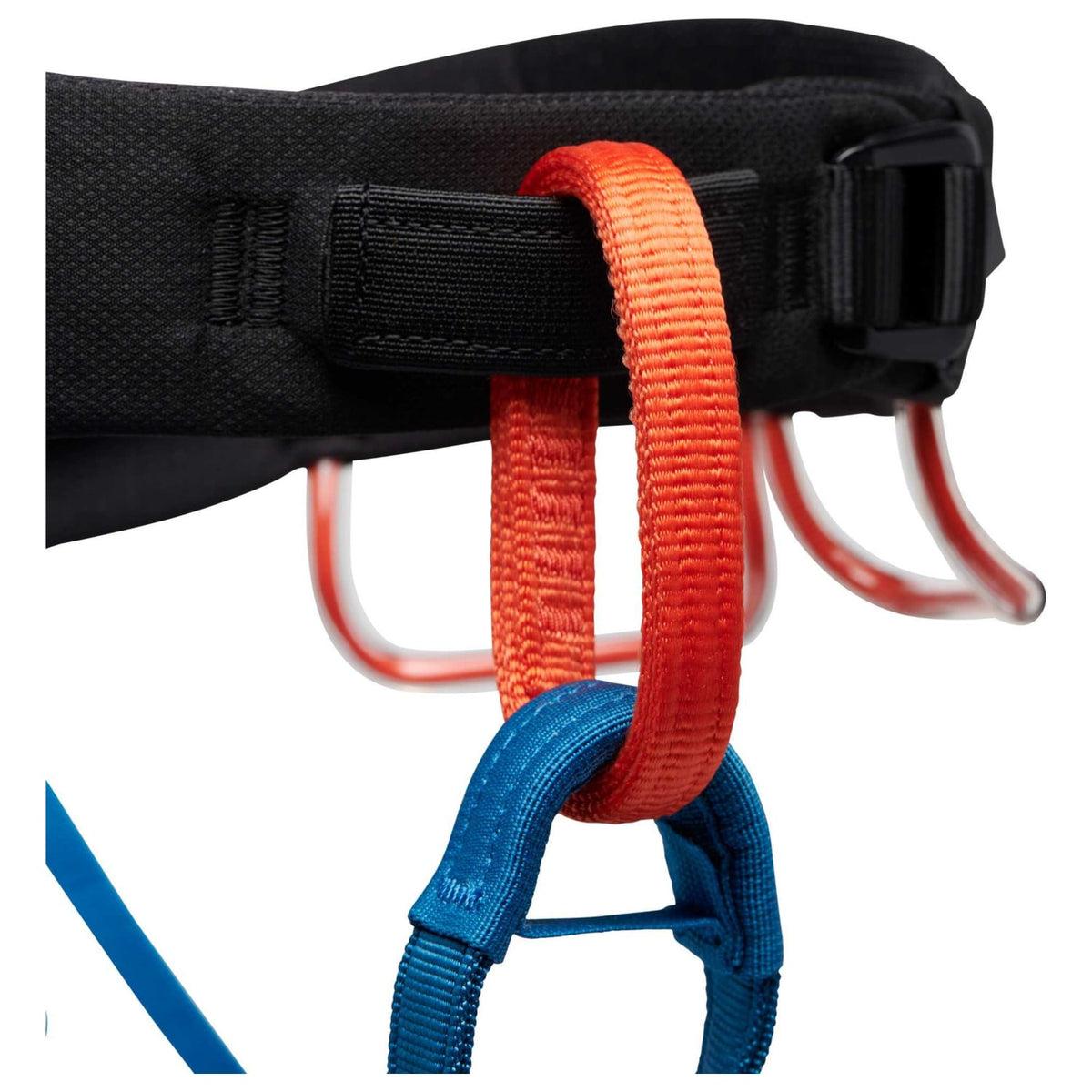 Black Diamond Momentum Men's Harness