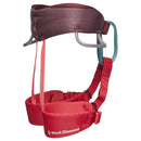 Black Diamond Momentum Kids Harness - O/S | Gearshop NZ