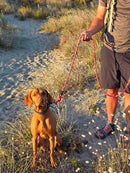 Ratuski Recycled Rope Dog Lead