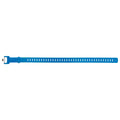 Black Diamond Ski/Gear/Bike Straps