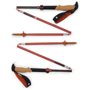 Black Diamond Pursuit FLZ Trekking Poles