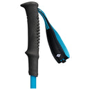 Black Diamond Distance Carbon FLZ Poles (Pair)