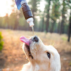 Sawyer Micro Squeeze Water Filter