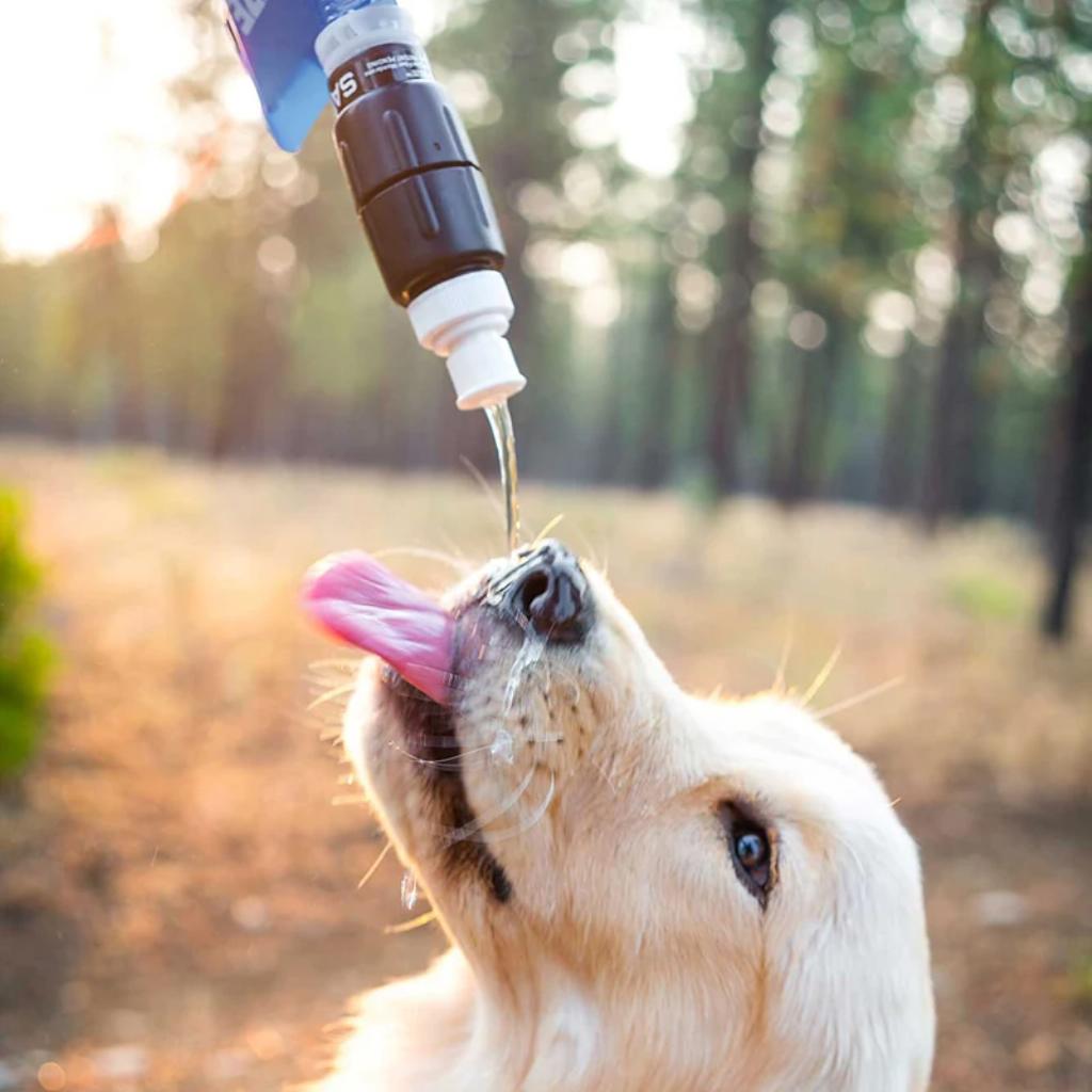 Sawyer Micro Squeeze Water Filter