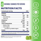 SaltStick Energy Gummies 1x Pack