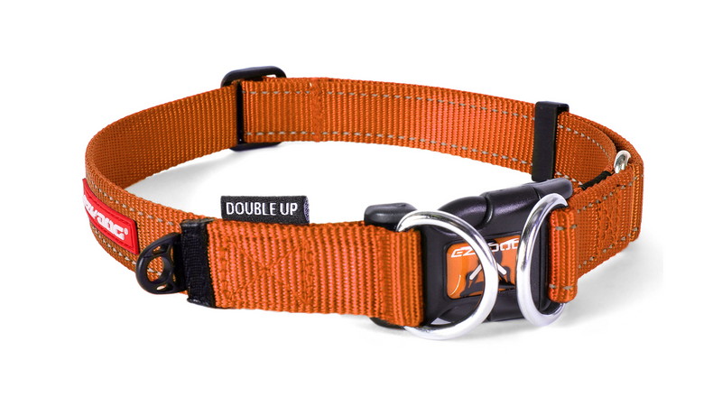 EzyDog Double Up Collar