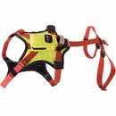 dog_harness_3_RK5CSMDCR26R.jpg